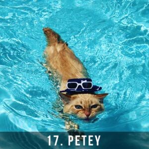 17_Petey